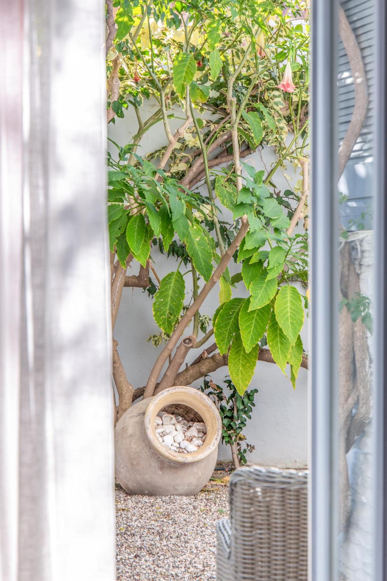 Micra Anglia Boutique Hotel & Spa Ándros 外观 照片